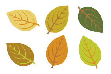 Fototapeta premium a set colorful autumn leaves