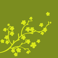 branche en fleur olive et vert pomme