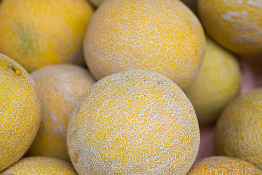 Netzmelone