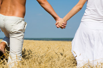 Close-up of woman and man holding by hands in the field