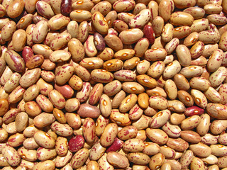 closeup shot of beans