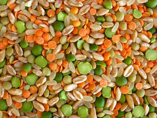 ingredients of legumes and cereals soup
