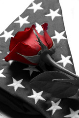 A lone red rose sits on top of an american flag. Honor respect