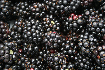 blackberries