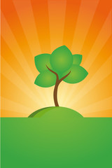arbre