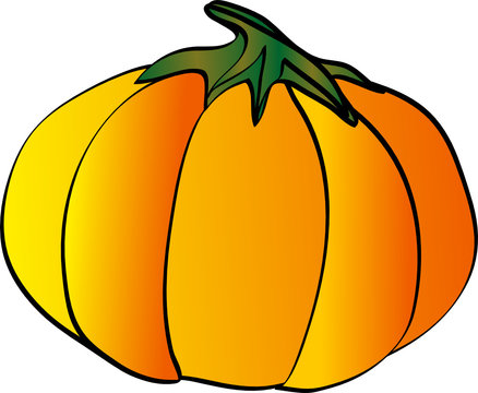 Zucca