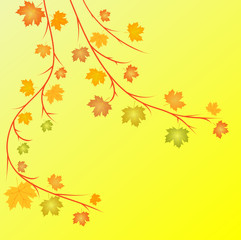 Obraz premium autumn vector illustration