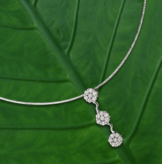 Fototapeta premium Necklace