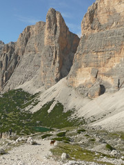 a mountain landscape with lake