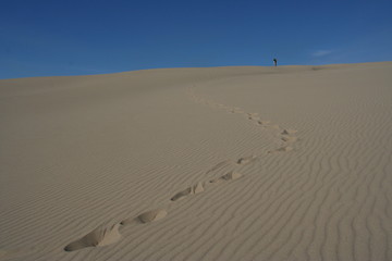 Spuren in den Oregon Sanddunes - USA