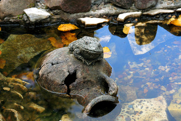 Bronze frog - Moscow Garden
