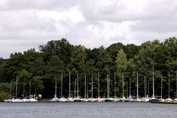 boats in the docks