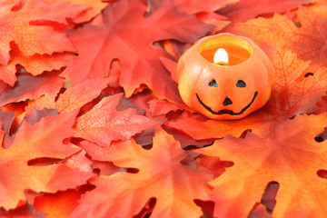 jack o' lantern on golden fall leaves great for halloween