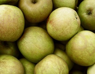 green autumn apples