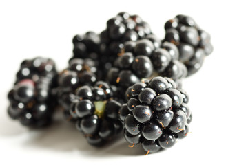 brambleberry isolated over white background
