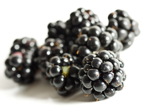 Brambleberry Images – Parcourir 2,988 le catalogue de photos, vecteurs