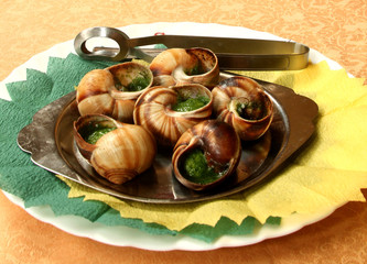 Snails