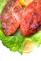 Fresh fish with with cabbage and lemon in a elegant dish