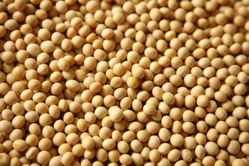 soybeans