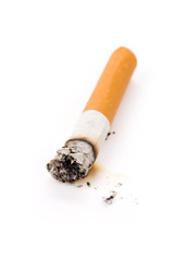 A Cigarette Butt with white background