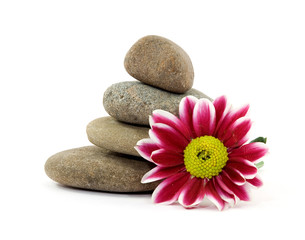 Obraz na płótnie Canvas zen spa stones with flowers