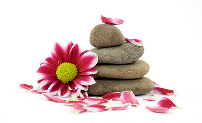 Naklejka na ściany i meble zen spa stones with flowers
