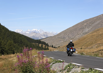 motard sur une route de montagne