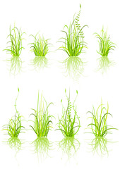 set of grass