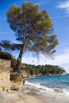 la plage du canadel sur la c&ocirc;te d'azur
