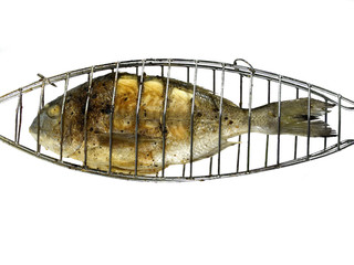 Gegrillte Dorade