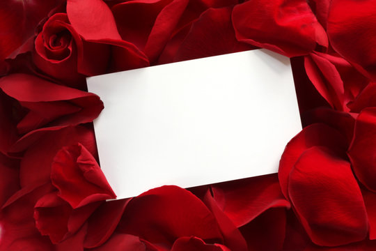 Blank white gift card on a bed of red rose petals