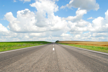 It is dear leaving in the sky among a field