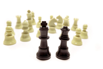 Chess pieces on white background