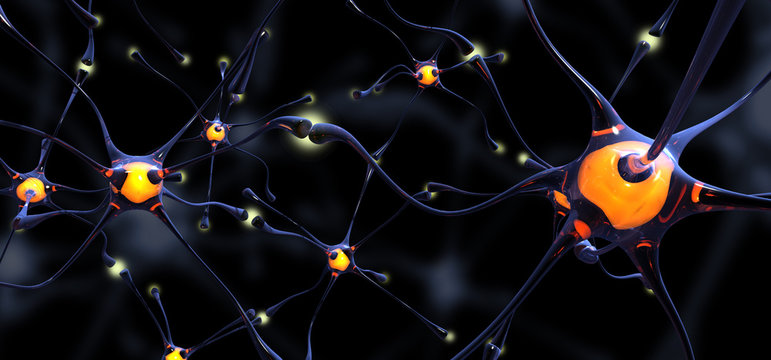 10 Artistic Neuron HD Wallpapers and Backgrounds
