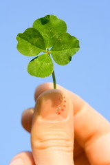 Female hand holding a four leaf clover against the blue sky © Szasz-Fabian Jozsef