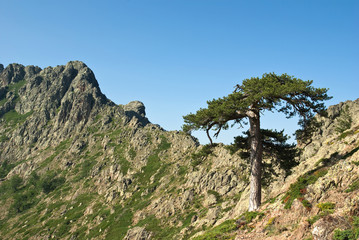 Monte Grosso - Corse