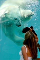 complicité entre un ours polaire et une jeune femme