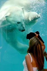 Crédence de cuisine en verre imprimé Arctique complicité entre un ours polaire et une jeune femme