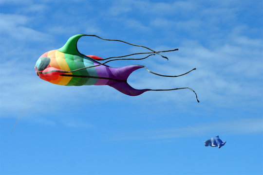 Cerf-volant