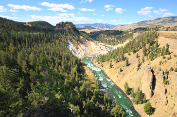 Fototapeta na wymiar The Yellowstone River in Yellowstone National Park