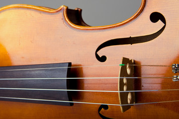 Violin Bridge and Strings