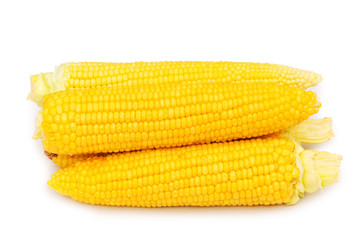 Corn cobs  isolated on the white background