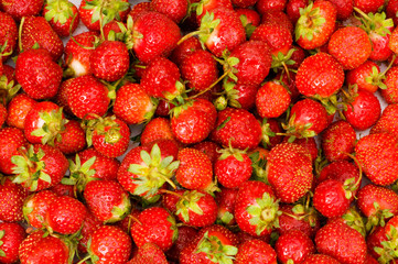 Fruit concept - red strawberries arranged as background