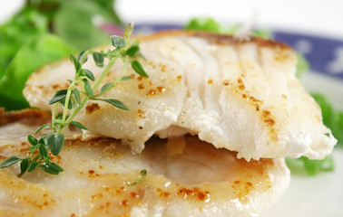 Profile close up of pan fried Sea Perch with and salad.