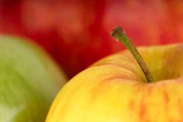 Four apples - red, yellow and green