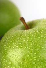 Green apple covered with a water drops, white background