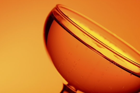 champagne, traditional bowl shaped glass