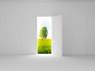 Landscape behind the open door. 3D image