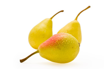 ripe pears with drop of water on white background