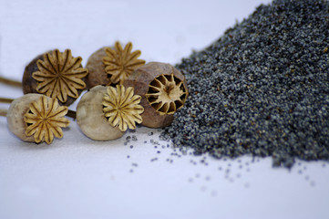 Mohnsamen und Mohnkapseln